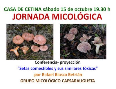 20111010004713-jornada-micologica.jpg